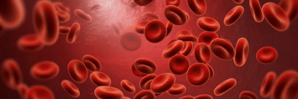 Amlodipine vs Atacand Comparison
