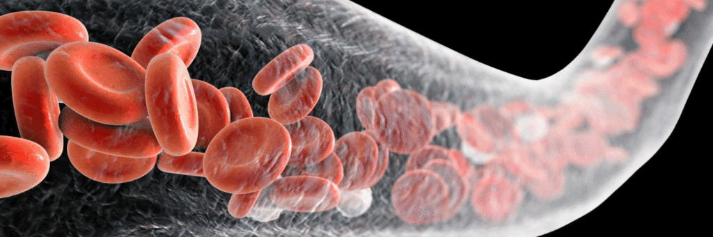 Amlodipine vs Atacand Comparison
