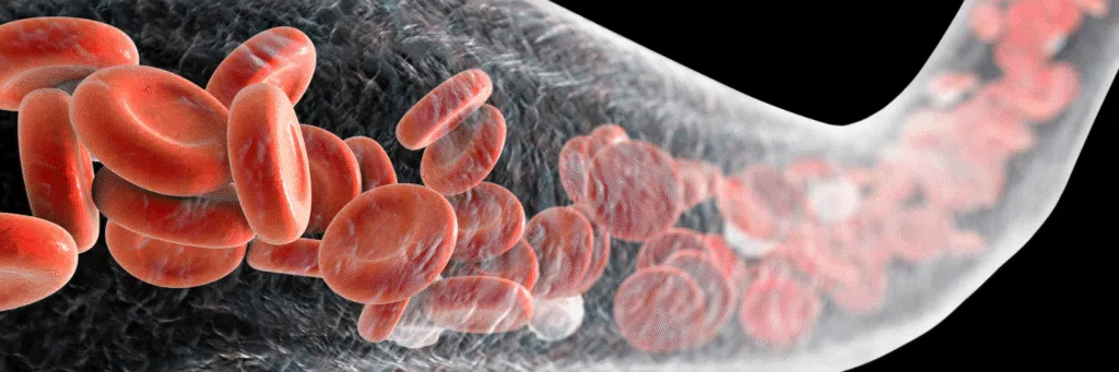 Amlodipine vs Atacand Comparison
