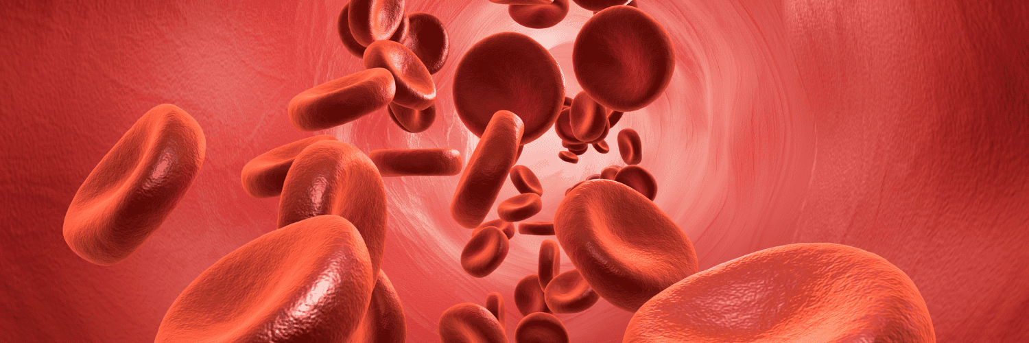 Xarelto vs. Eliquis - Xarelto and Eliquis Anticoagulants - 3D illustration of red blood cells flowing through a human artery.