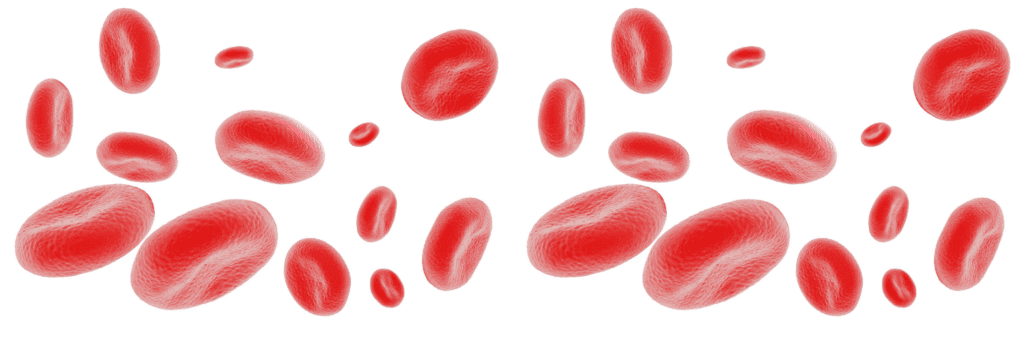 Eliquis Everything You Have To Know About This Anticoagulant - Eliquis Apixaban - 3D render of red blood cells floating on a white background.